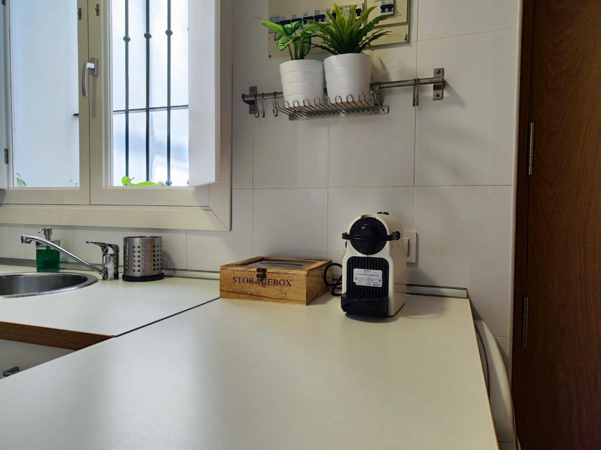 Suite Del Mercado Little Apartments Cádiz Exteriér fotografie